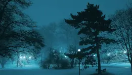 A Frozen Night